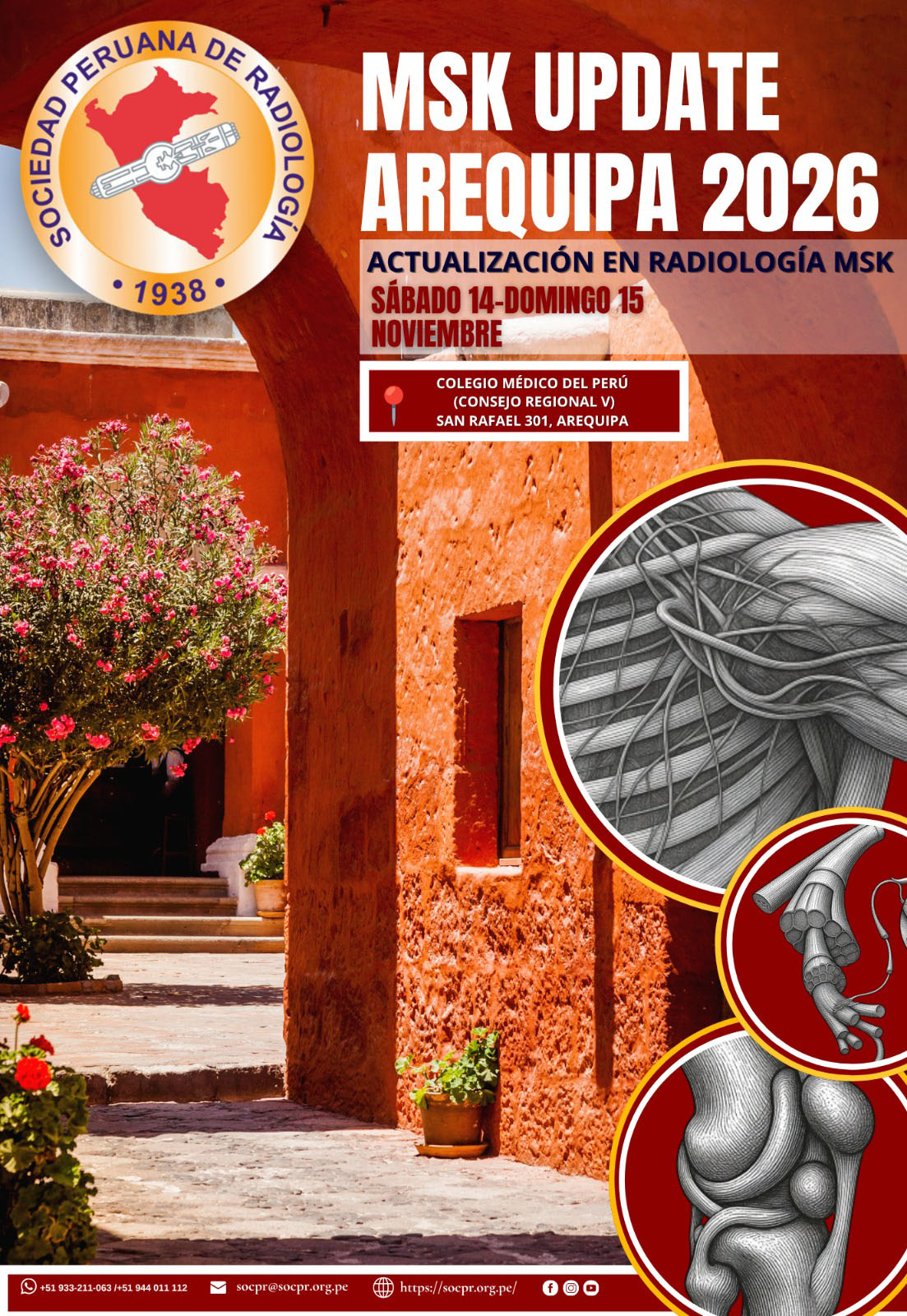 MSK-AREQUIPA